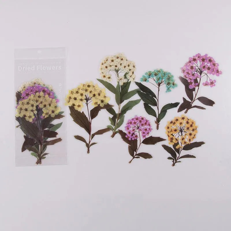 Nature's Bloom Floral PET Sticker Pack