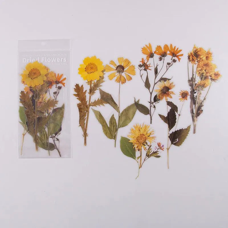 Nature's Bloom Floral PET Sticker Pack