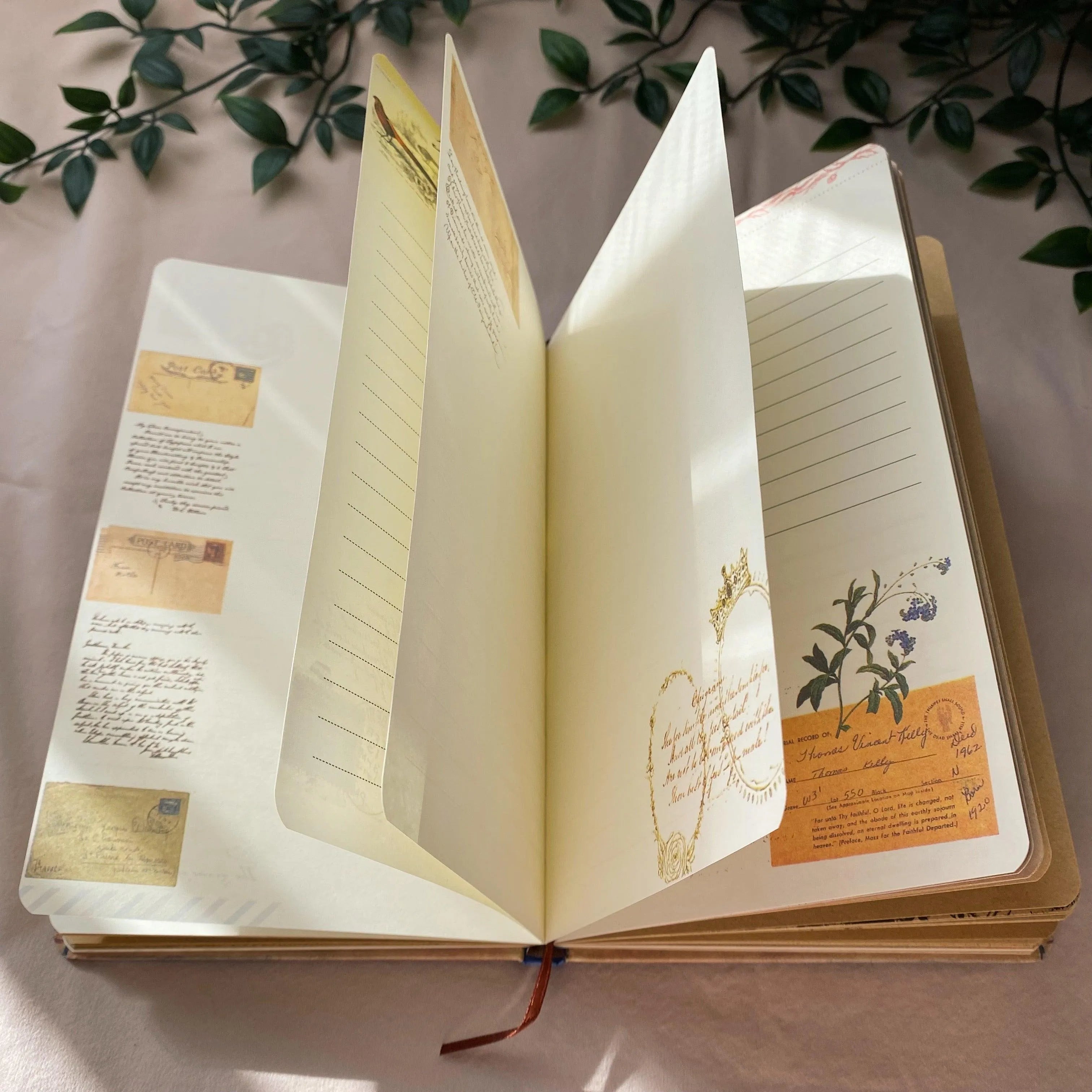 Outdoor Adventure Box