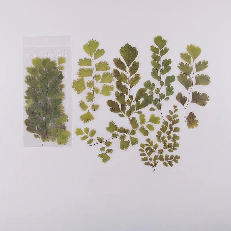Nature's Bloom Floral PET Sticker Pack