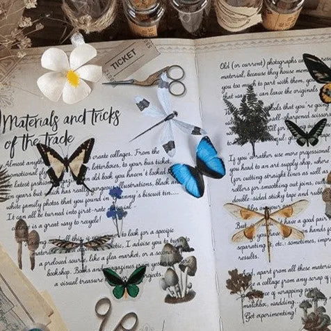 Butterfly & Dragonfly PET Stickers Pack
