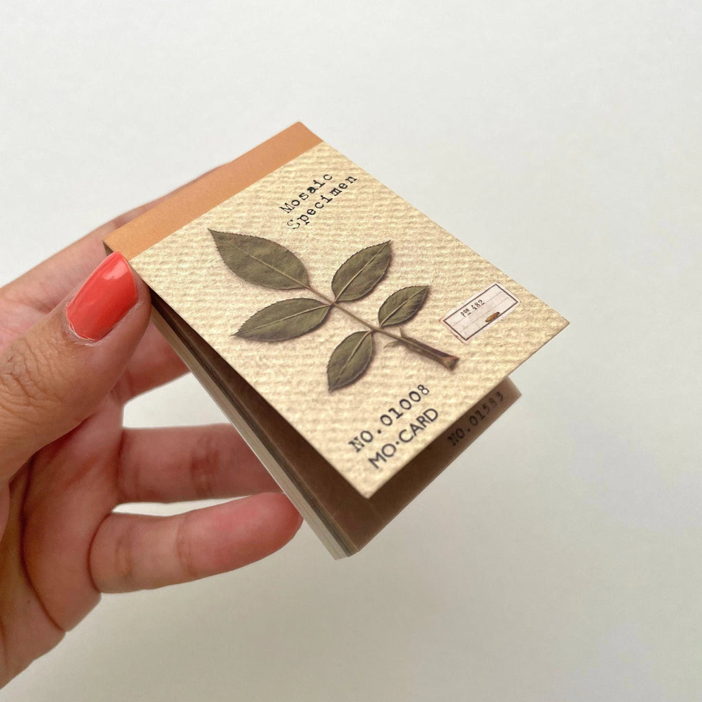 Golden Touch Box