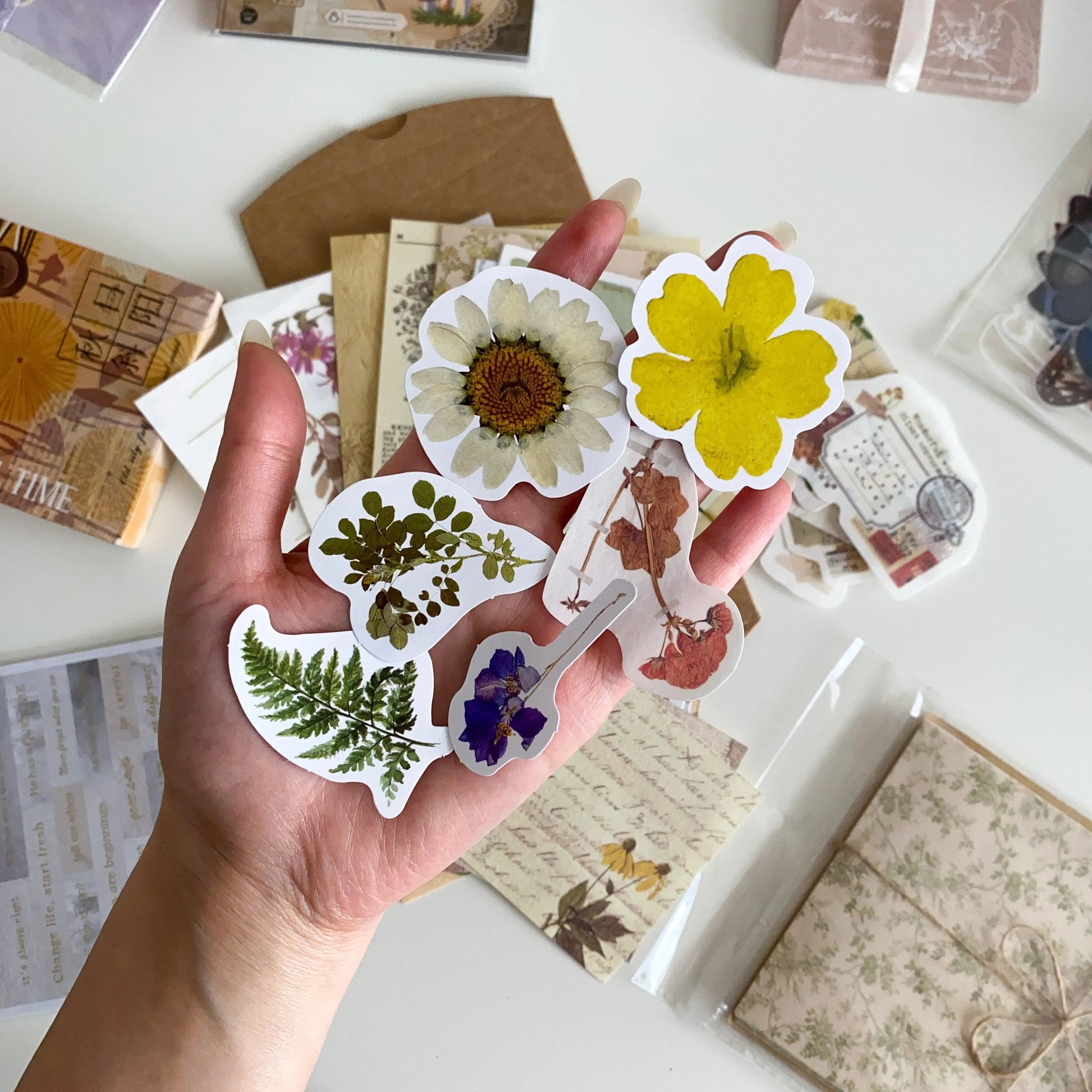 DIY Phone Case Summer Box - Personalize Your Phone