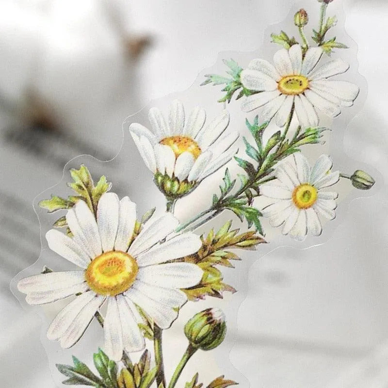 Botanical Transparent Sticker Pack