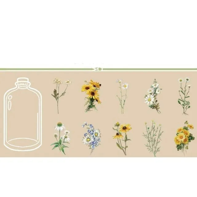 Botanical Transparent Sticker Pack