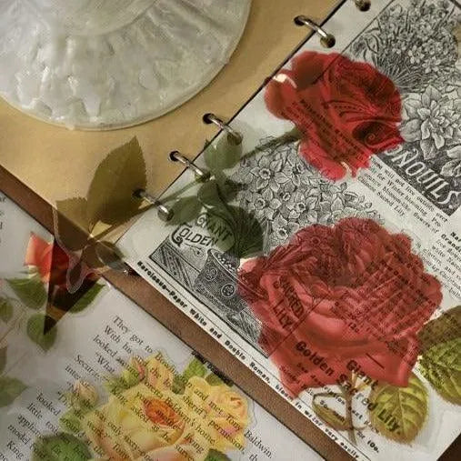 Botanical Transparent Sticker Pack