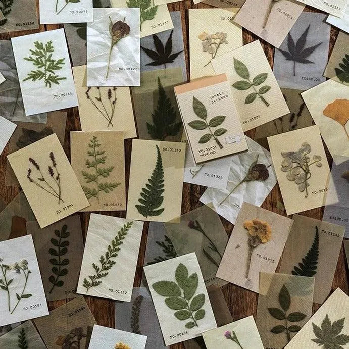 Botanical Essence Tear-Off Paper Set