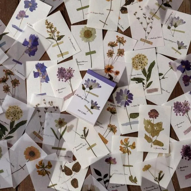 Botanical Essence Tear-Off Paper Set