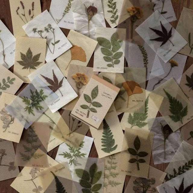 Botanical Essence Tear-Off Paper Set