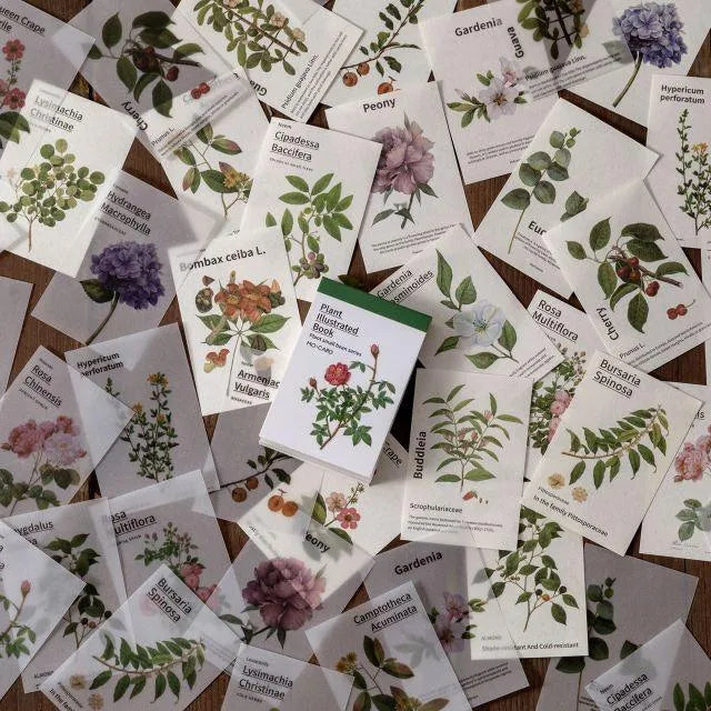 Botanical Essence Tear-Off Paper Set